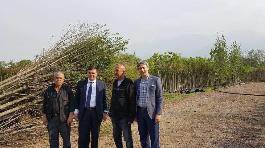 Başkan Yal&ccedil;ın&rsquo;ın İl&ccedil;eyi Ağa&ccedil;landırma &Ccedil;alışmaları