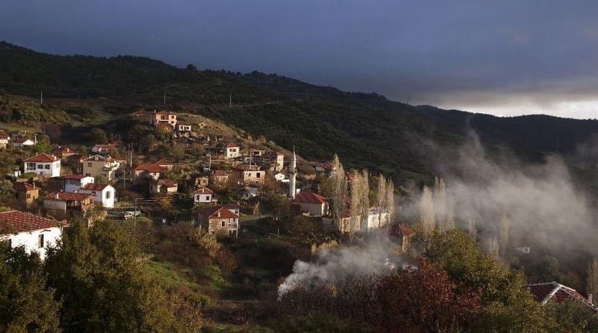 Erkence Zeytini İ&ccedil;in Taş Ocağı Tepkisi