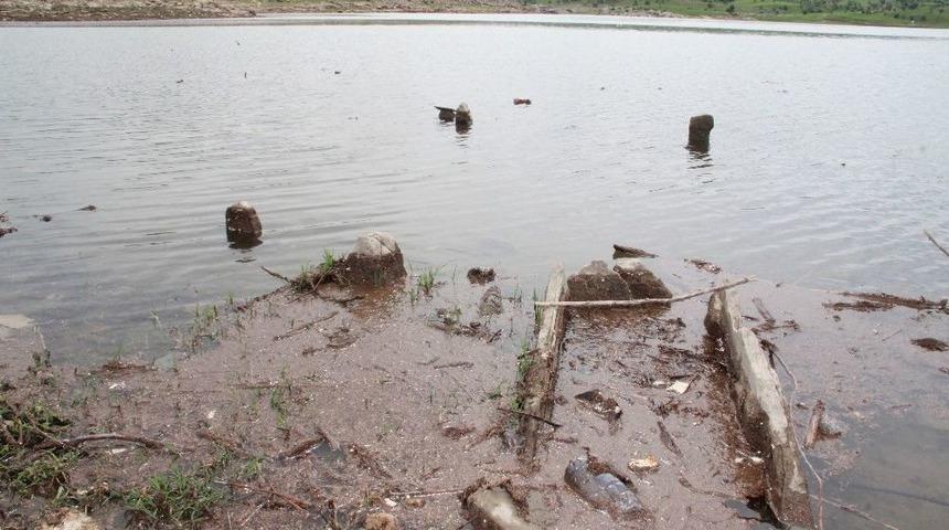 Sular &Ccedil;ekilince G&uuml;n Y&uuml;z&uuml;ne &Ccedil;ıkan Mezarlara Defineciler Dadandı