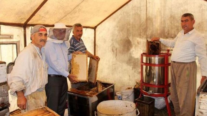 Kumluca'da 160 Ton Bal &Uuml;retimi Bekleniyor