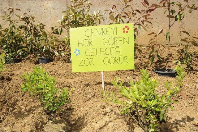 Yeşil Okullar Atıklarla Yeşeriyor 2