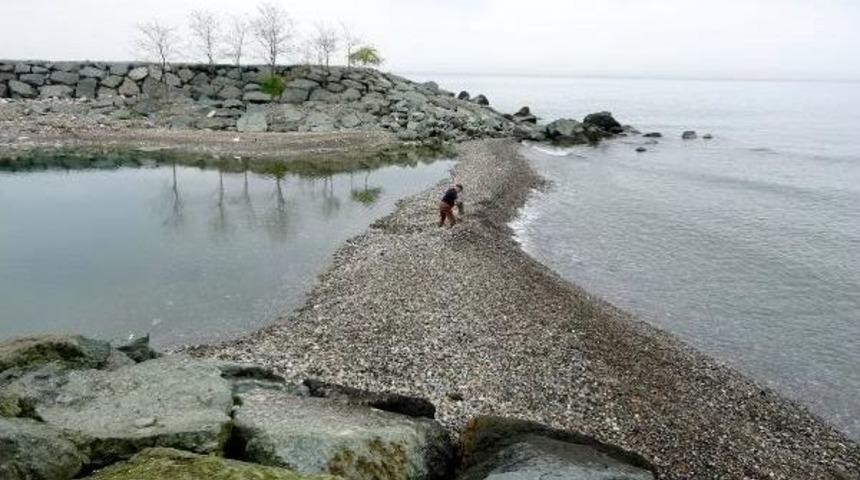 Barınağın &Ouml;n&uuml; Kapandı, Rizeli Balık&ccedil;ları K&uuml;rekle Işe Koyuldu