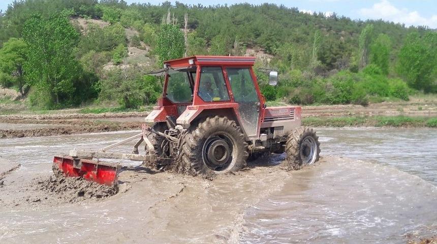 Han&ouml;n&uuml;&rsquo;de &Ccedil;eltik Ekimi Hazırlıkları Başladı