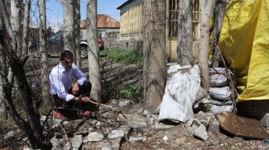 Yüksekovalı Ailenin Başı Yılanlarla Dertte