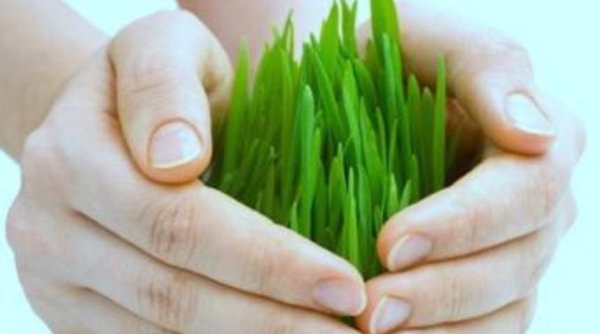 Y&uuml;ksekokula Yeni Program