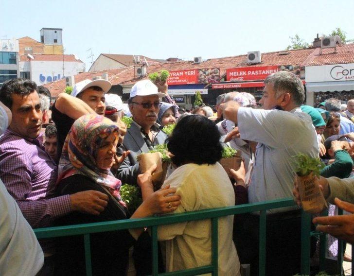 Vatandaşlar, Fesleğen Ve Mesir Macunu Almak İçin Birbirleriyle Yarıştı G5