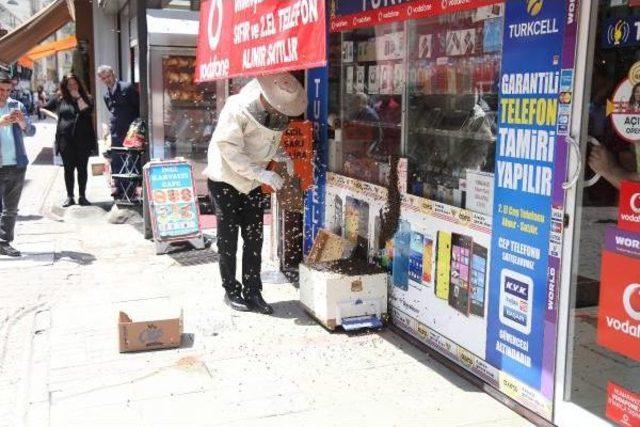 Telefoncu Dükkanını Arılar Bastı