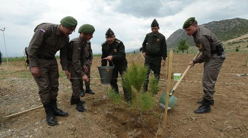 Jandarma Şehitler Ormanında 810 Fidan Toprakla Buluştu