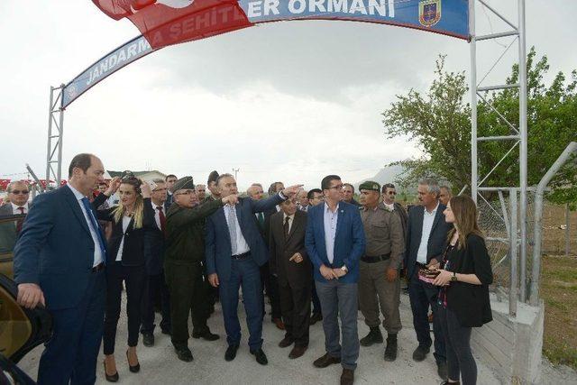 Jandarma Şehitler Ormanında 810 Fidan Toprakla Buluştu