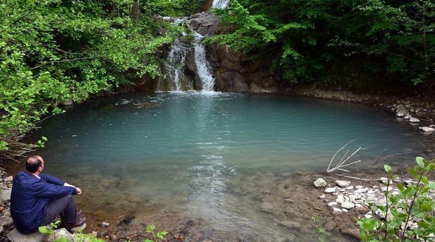 G&ouml;renler Hayran Kalıyor