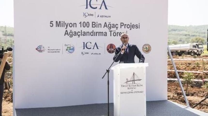 Kuzey Marmara Otoyolu'na 6 Bin Fidan Dikildi