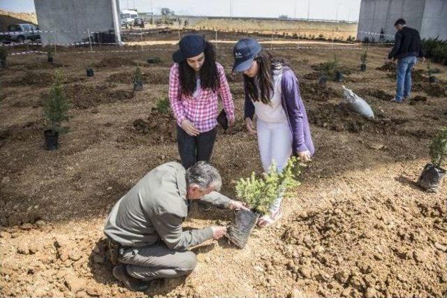 Kuzey Marmara Otoyolu'na 6 Bin Fidan Dikildi