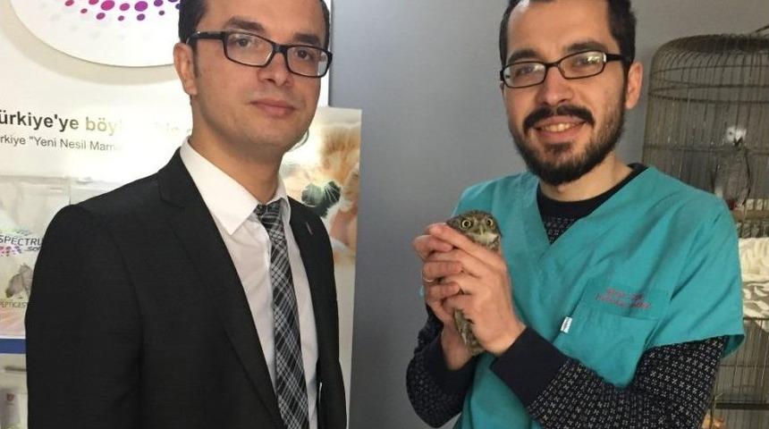 Halsiz D&uuml;şen Baykuş Tedavi Edildi
