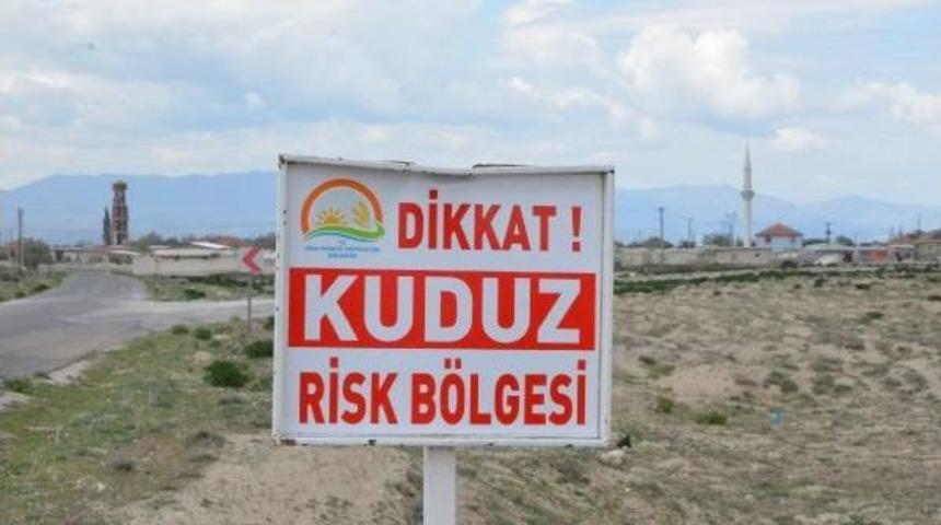 Ereğli'de 'kuduz' Paniği