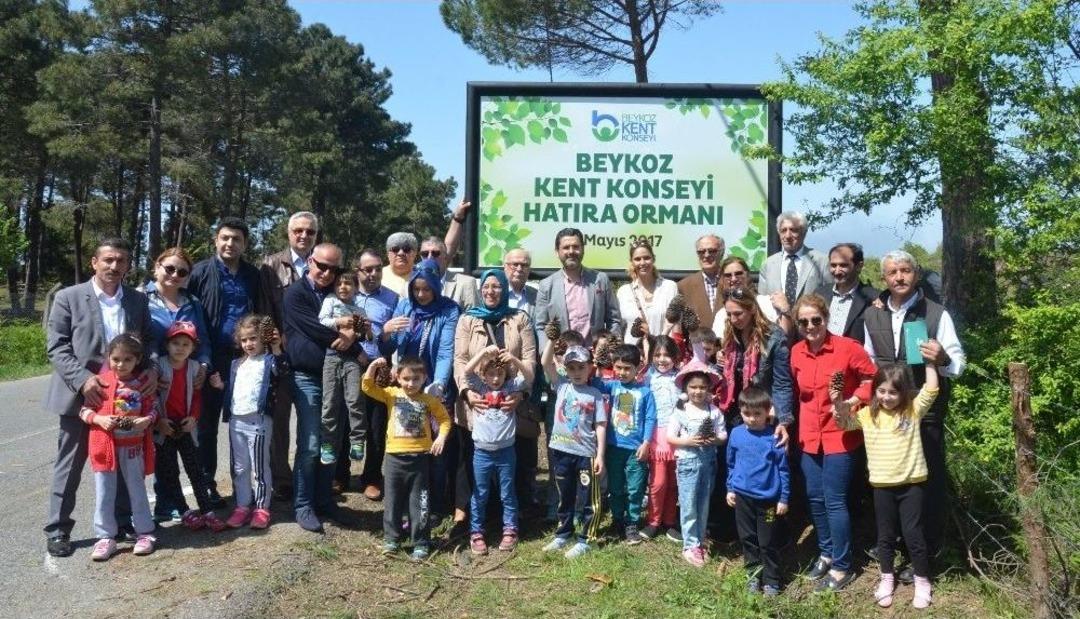 Beykoz&rsquo;da Anaokulu &Ouml;ğrencileri &Ccedil;am Fidanı Dikti