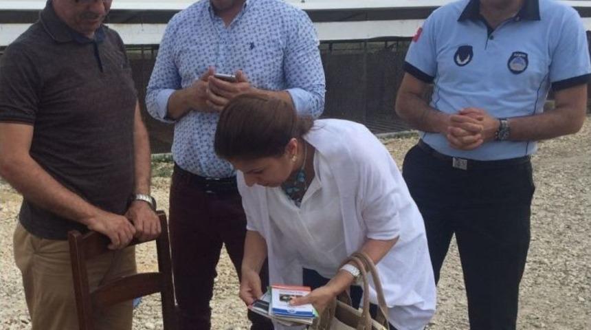 Tarsus&rsquo;ta Sahipli Ve Sahipsiz Hayvanlarına Denetim