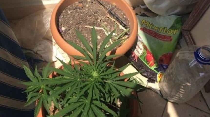 Alanya&rsquo;da Uyuşturucu Operasyonu