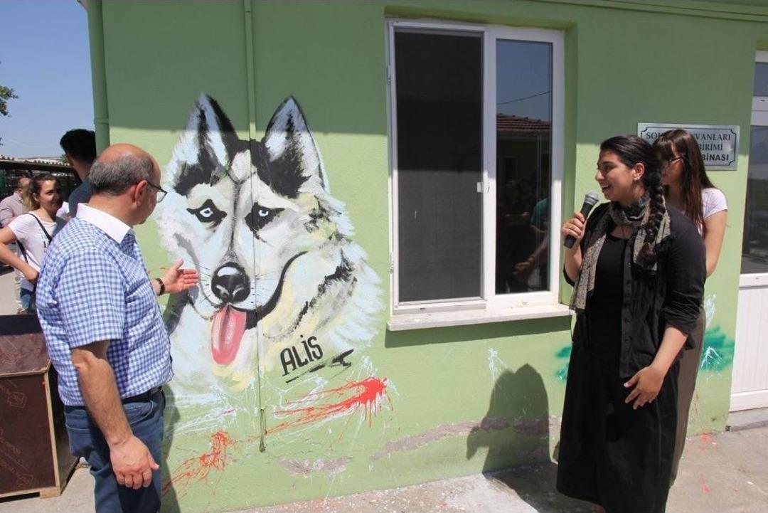 &Uuml;niversiteli Gen&ccedil;lerden Anlamlı Destek