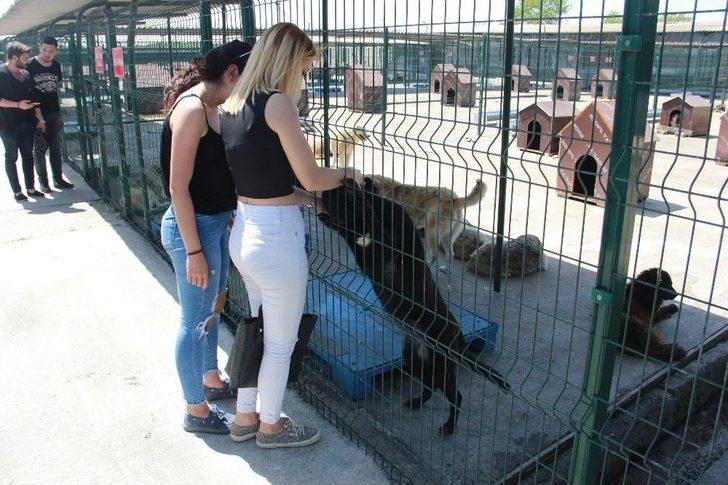 Üniversiteli Gençlerden Anlamlı Destek G5