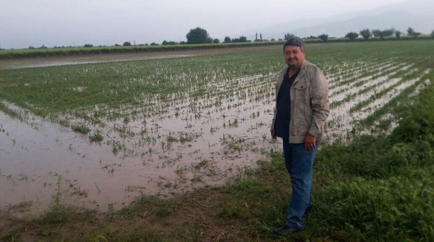 Manisa&rsquo;da Dolu Yağışı &Uuml;z&uuml;m Bağlarını Vurdu