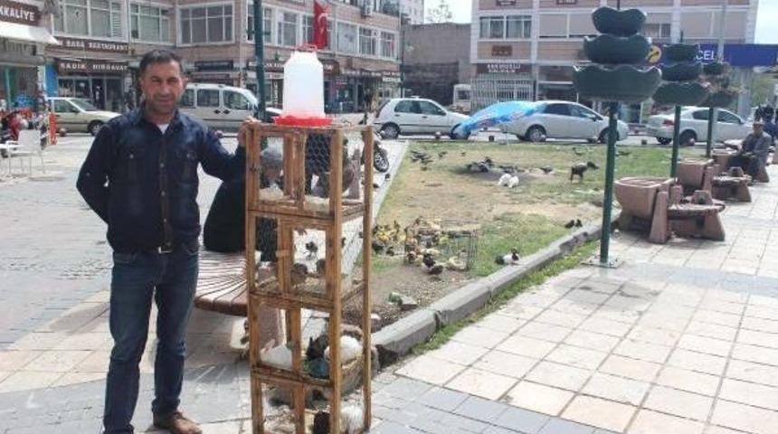 M&uuml;şteri Bekleyen Hayvanları Seyrediyorlar