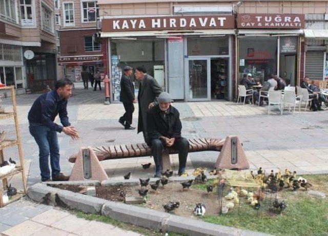 M&uuml;şteri Bekleyen Hayvanları Seyrediyorlar 1