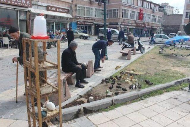 M&uuml;şteri Bekleyen Hayvanları Seyrediyorlar 2