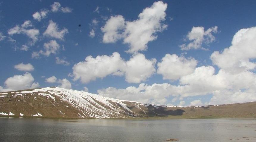 Van&rsquo;da Balık &Ouml;l&uuml;mleri