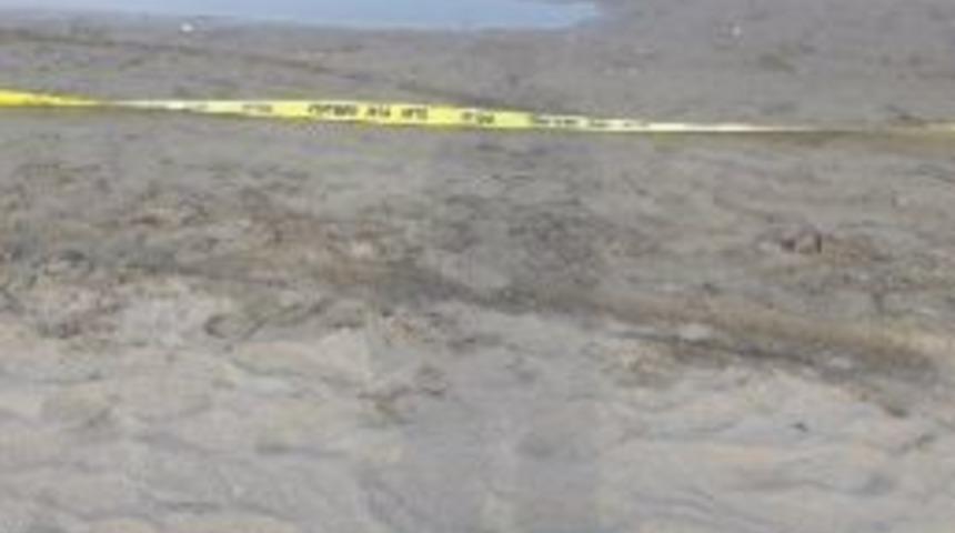 70 Yaşındaki Adamın Cansız Bedeni Sahilde Bulundu