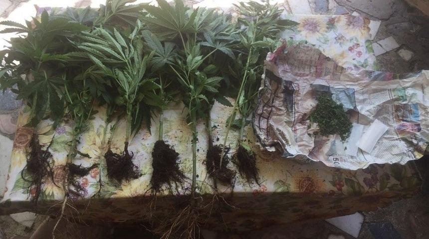 Marmaris Jandarmasından Sezon Başlangıcı Uyuşturucu Tacirlerine G&ouml;zdağı