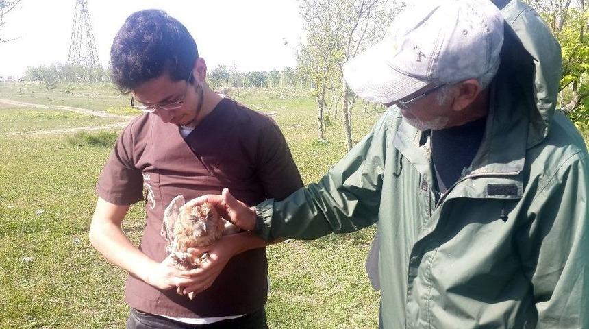 (&ouml;zel Haber) Tedavisi Biten Kuşlar &Ouml;zg&uuml;rl&uuml;ğ&uuml;ne Kavuştu