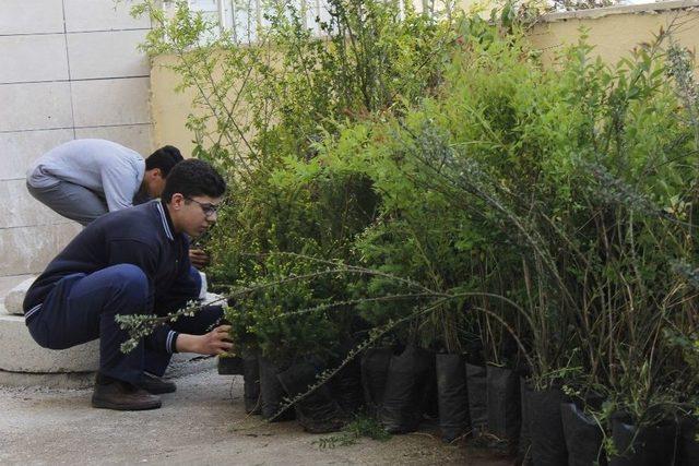 Öğrenciler Kendi Bahçesini Yaptı 1