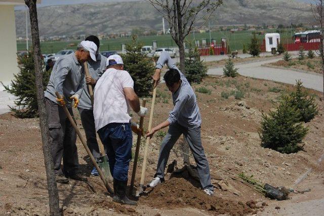 Öğrenciler Kendi Bahçesini Yaptı 2
