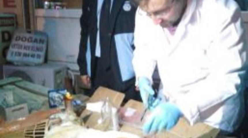 Emet Belediyesi Zabıta Ekipleri Yaralı K&ouml;pek İ&ccedil;in Seferber Oldu