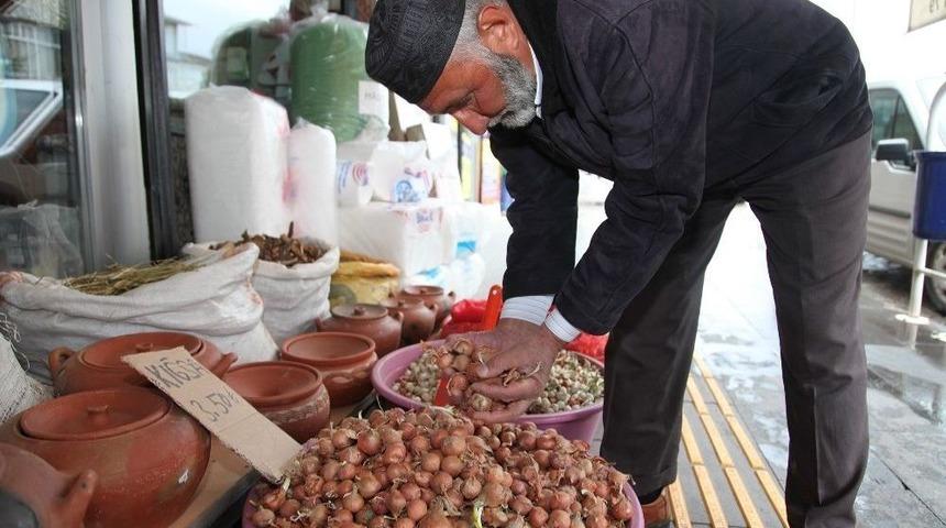 Ahlat&rsquo;ta Kıska Tohumu Reva&ccedil;ta