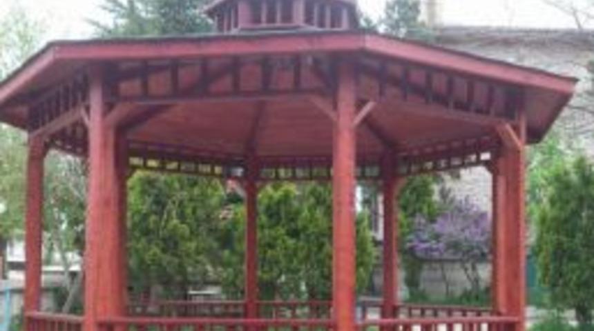 K&uuml;tahya&rsquo;da 9 K&ouml;ye Kamelya