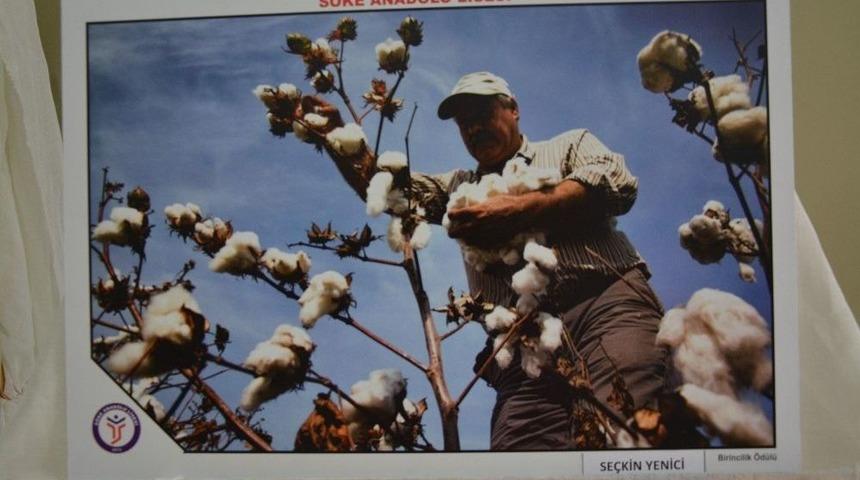 S&ouml;ke&rsquo;de Fotoğraf Ve Kısa Film Yarışması &Ouml;d&uuml;lleri Sahiplerini Buldu