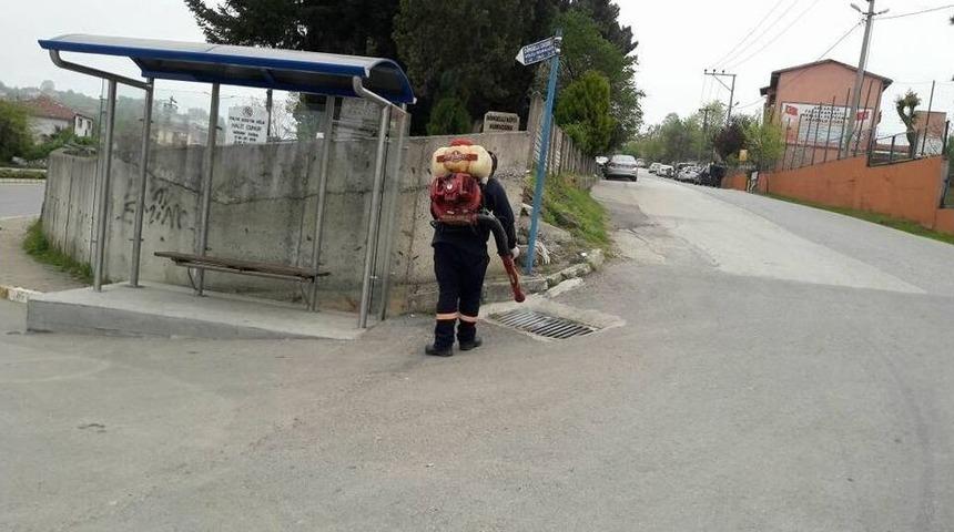 Ak&ccedil;akoca İla&ccedil;lanıyor