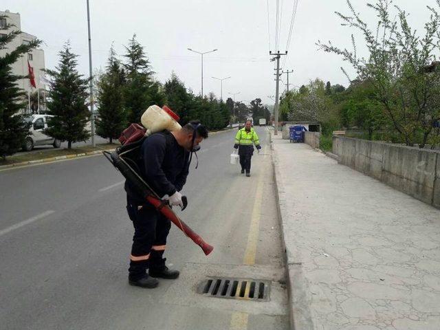 Ak&ccedil;akoca İla&ccedil;lanıyor 1