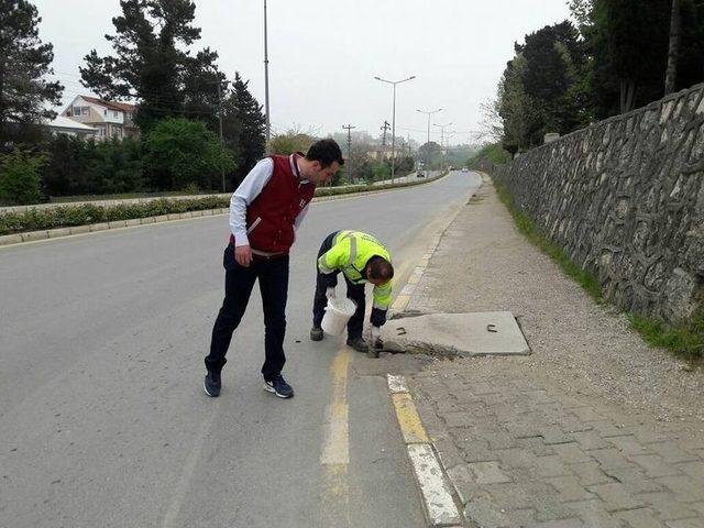 Ak&ccedil;akoca İla&ccedil;lanıyor 2