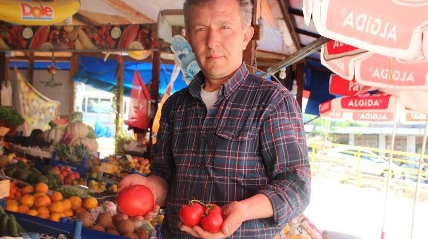 Domatesteki Anormal Fiyat Artışı