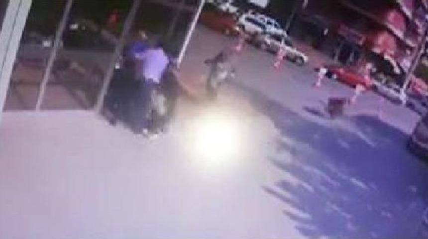 Yaban Domuzu, Hastanenin Acil Servisine Daldı