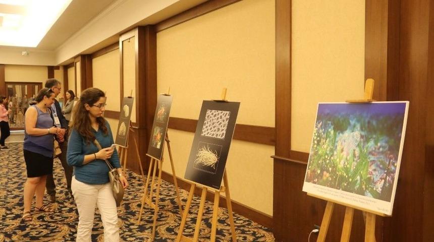 Bilimde Gizlenen Sanat Fotoğraflarla G&uuml;n Y&uuml;z&uuml;ne &Ccedil;ıktı