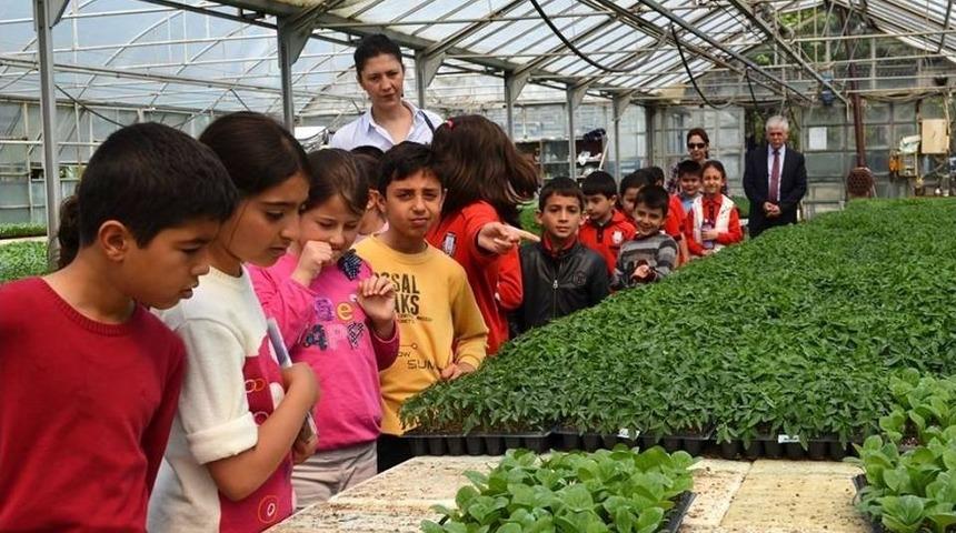 Fide Etkinliği D&uuml;zenlendi