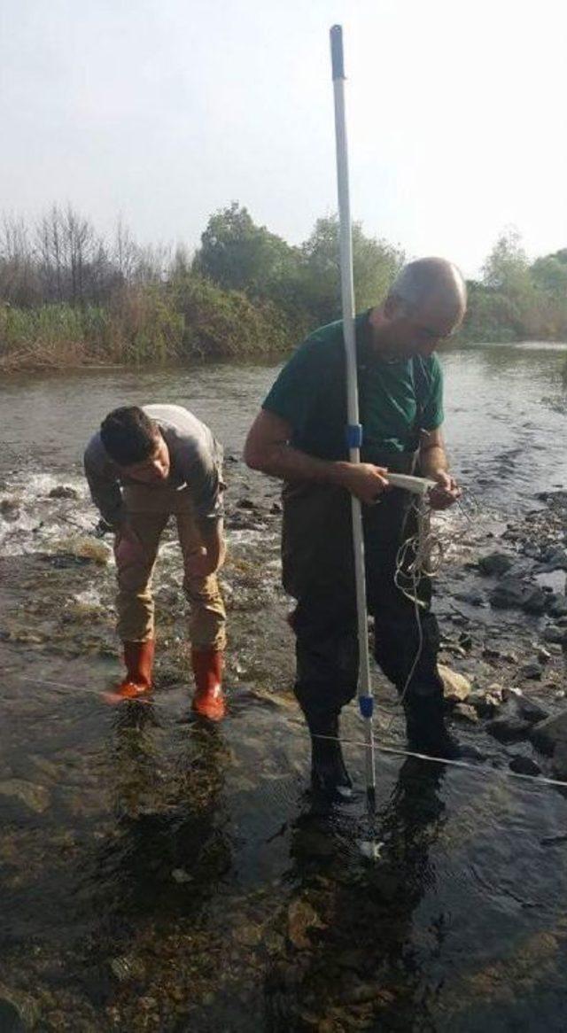 İznik Gölü'nde Kirlilik Alarmı