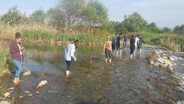 İznik Gölü'nde Kirlilik Alarmı