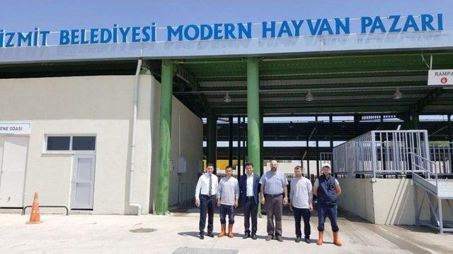 Adakçılar Modern Hayvan Pazarında