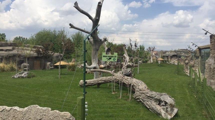 Eskişehir Hayvanat Bah&ccedil;esi&rsquo;nde Skandal G&ouml;r&uuml;nt&uuml;