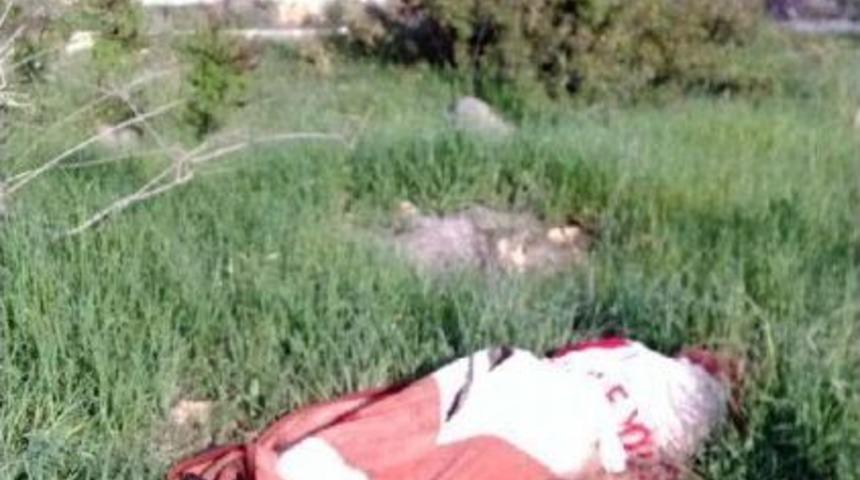 Suriyelinin Katili Suriyeli &Ccedil;ıktı