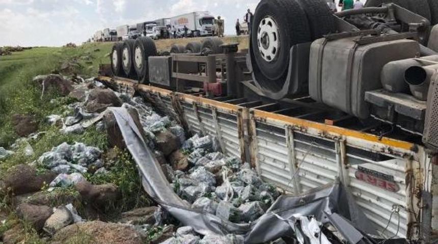 Bu Tır'dan 2 Kişi Yaralı &Ccedil;ıkarıldı